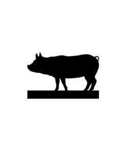 Motivleisten Stecker Schwein