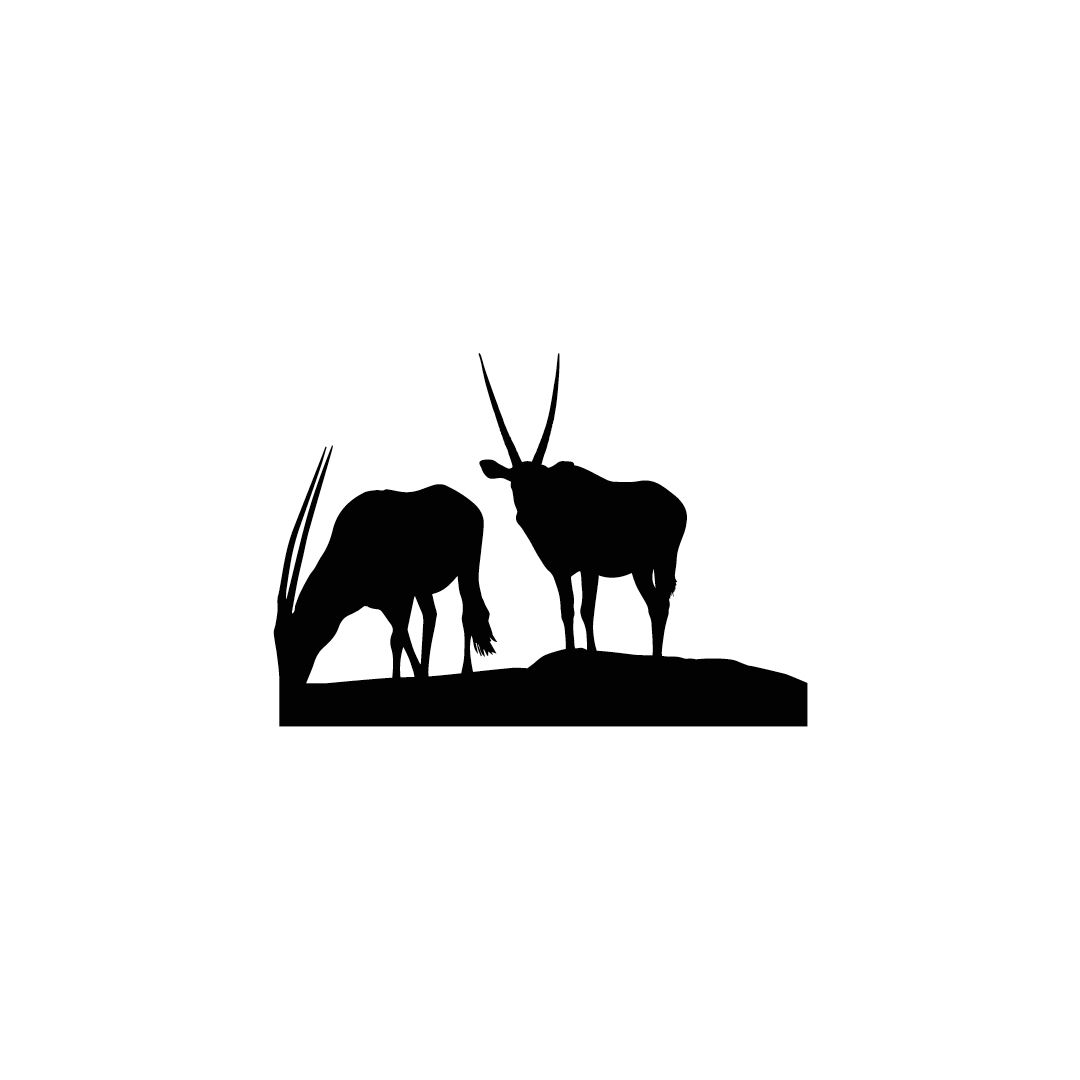 Oryxantilopen