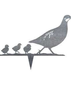 Rebhuhn Henne / Kette