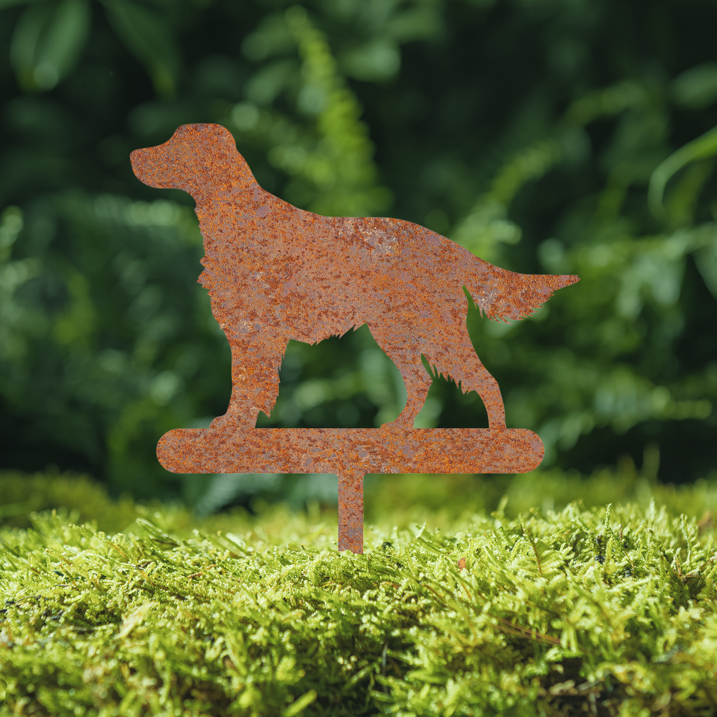 Blumenstecker Gordon Setter