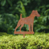 Fox Terrier Kurzhaar