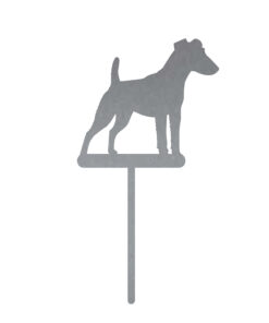 Fox Terrier Kurzhaar