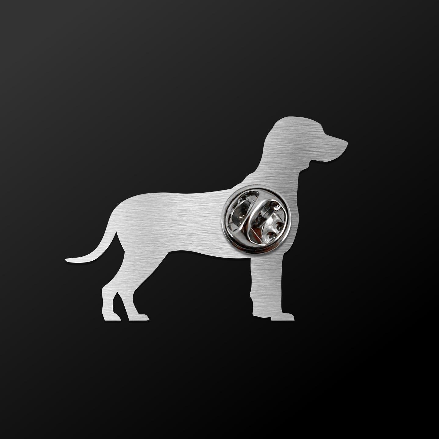 Anstecker BGS