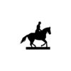 Pferd/Reiter