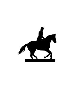 Pferd/Reiter