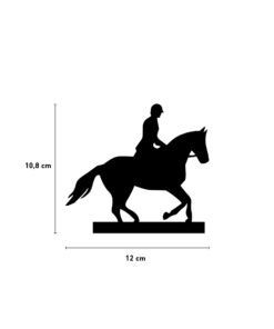 Pferd/Reiter