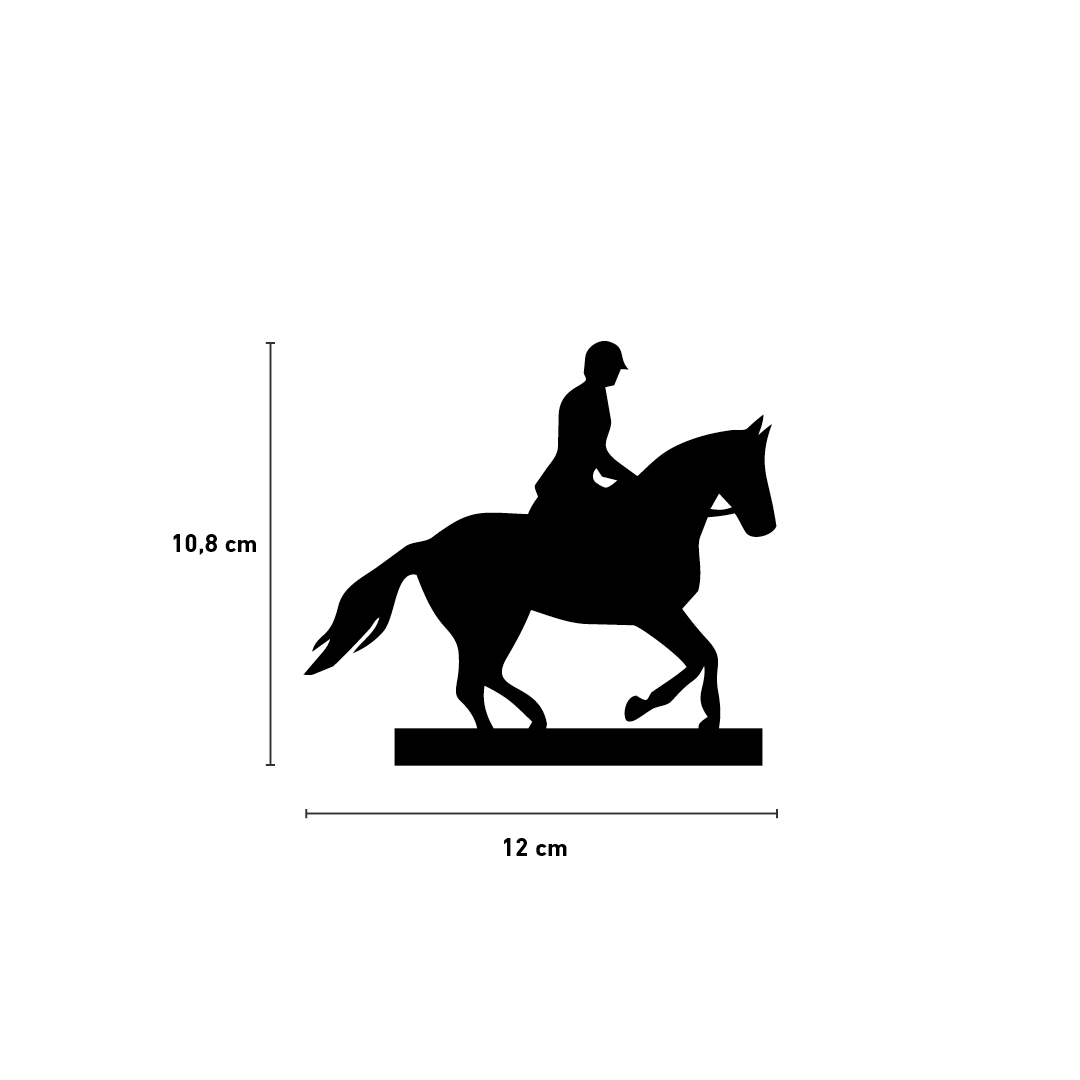 Pferd/Reiter