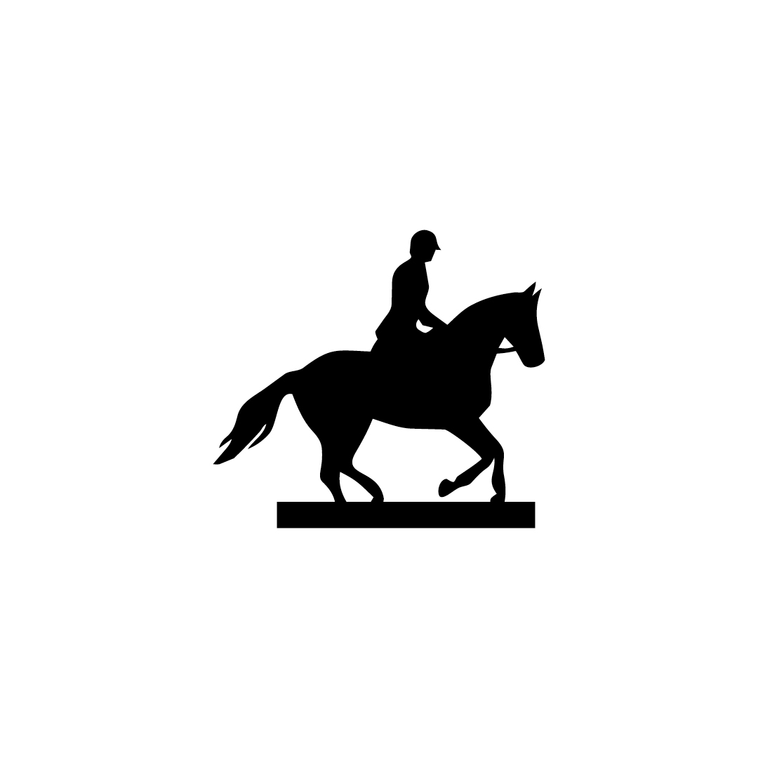 Pferd/Reiter
